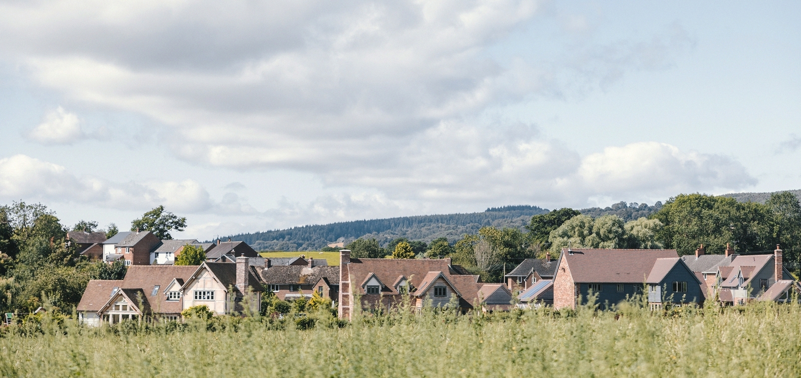 Border Oak Development