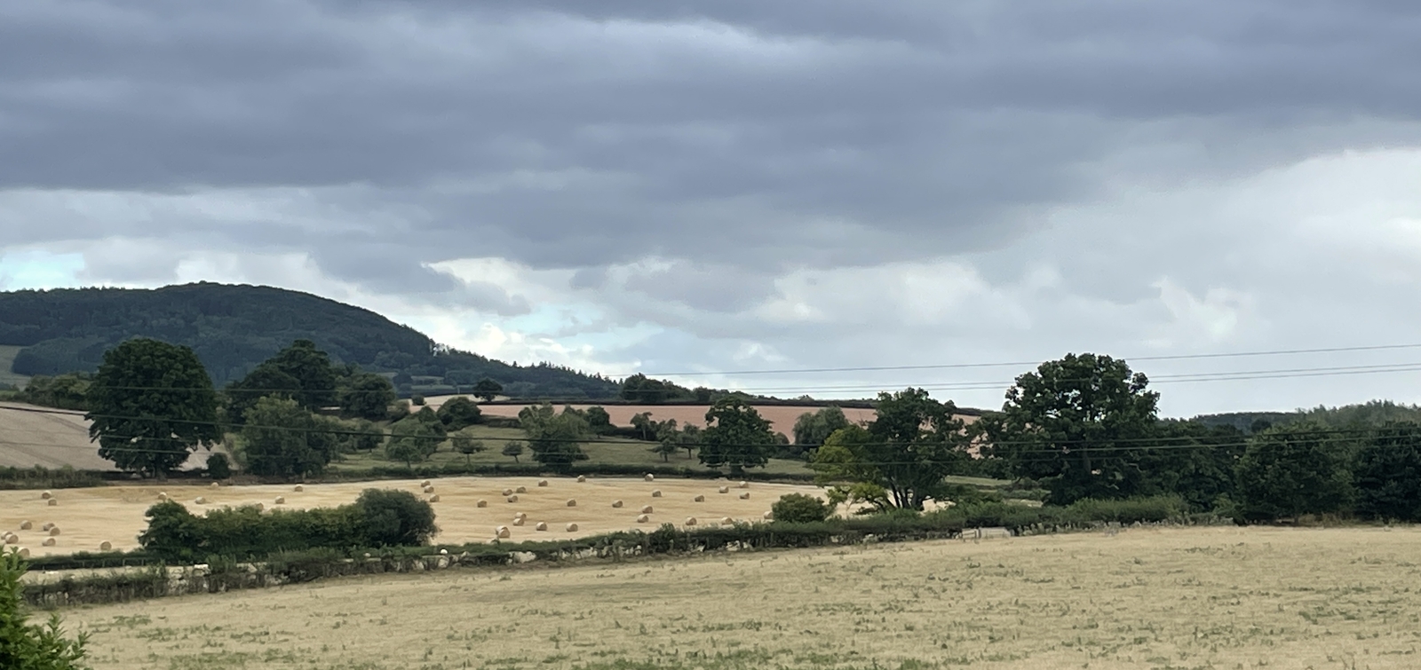 whistlle view