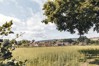Border Oak Developments
